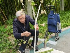 -重庆彩云湖湿地公园