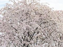 -全季酒店(重庆上清寺牛角沱地铁站店)