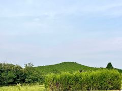 -秦始皇帝陵博物院-丽山园