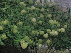 -杭州城北体育公园