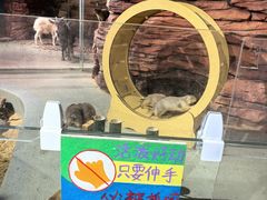 -正佳雨林生态植物园