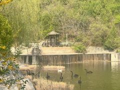 -静之湖度假区