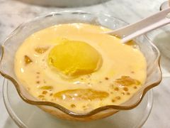 -糖朝(尖沙咀店)