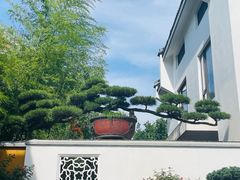 -龙华寺