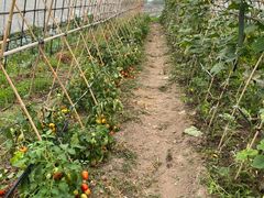 -美家乐农庄·露营·团建(大治路店)