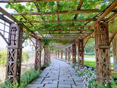 -北京张裕爱斐堡酒庄