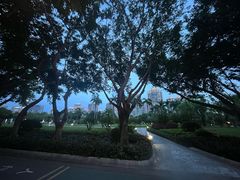 -白鹭洲公园