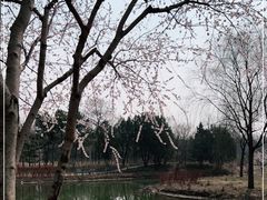 -北坞公园