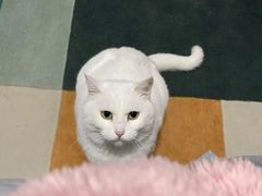 -北京赛佳动物医院