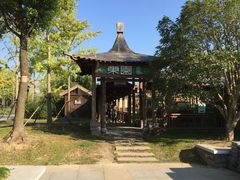 -东园小馆·早茶·淮扬小炒(宋夹城店)