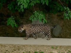 -石家庄市动物园