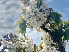 -清风小镇闯关东影视基地