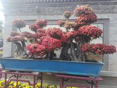 -中国翰园碑林