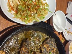 -老板恋上鱼(恒隆广场店)