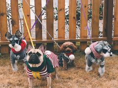 -太阳岛度假酒店