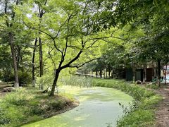 -长白岛森林公园
