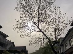 -兰桂坊·花园餐厅(西湖店)