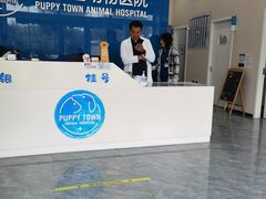 -芭比堂动物医院·CT·微创中心(新顺分院)