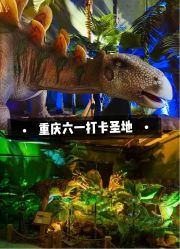 -恐龙探索乐园(磁器口店)