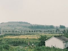 -恋山坝上草原