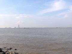 -上海滨江森林公园