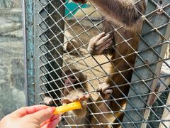 -水上乐园·欢乐世界