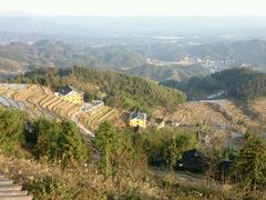 -紫鹊界梯田景区