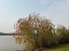 -东湖落雁景区