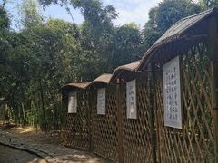 -同里国家湿地公园