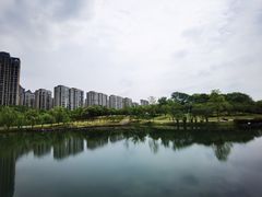 -洋湖国家湿地公园