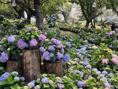 -名花谷生态庄园