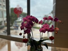 -阳澄湖费尔蒙酒店