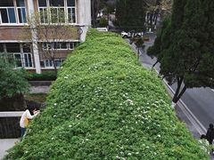 -四川大学(望江校区)