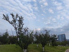 -桂溪生态公园