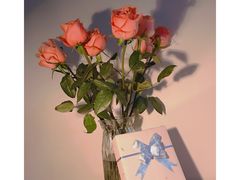 -泰康仰忠精品批发城