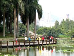景点-四海公园(南山区)