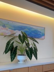 点击看大图 -北京嘉禾妇儿医院