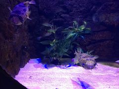 -梦幻海洋王国(吾悦广场张家港店)