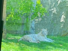 -北京野生动物园