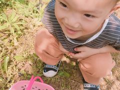 -武汉开心果园农业发展有限公司