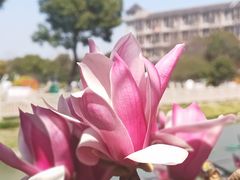 -泗泾镇社区文化活动中心