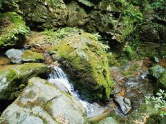 -藏龙百瀑风景区