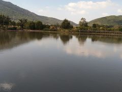 -亚龙湾国际玫瑰谷