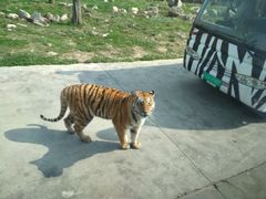 -西安秦岭野生动物园