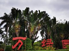 -万绿园