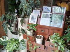 -有序Orderly融合西餐·咖啡(运河外滩店)