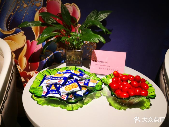 海上海泊晶酒店-图片-绵阳酒店-大众点评网
