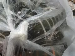 -陈妈妈的店-下沙灌汤烧卖(新场大街店)