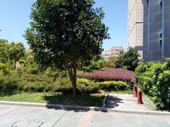 -福州大学(旗山校区)