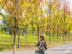 -白鹭湾湿地公园